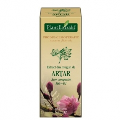 Extract din muguri de ARTAR - Acer campestre 50 ml